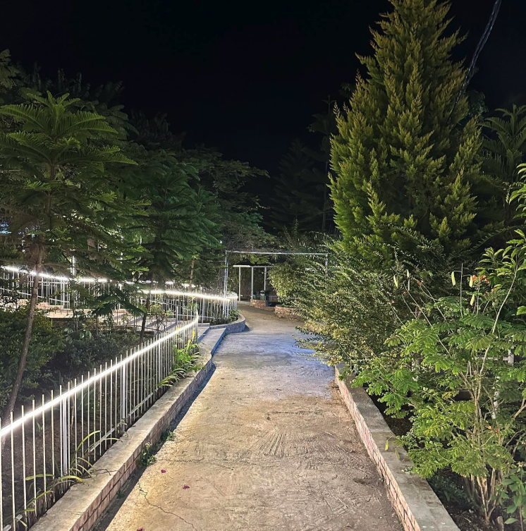 LED-lit garden pathway at the resort at night